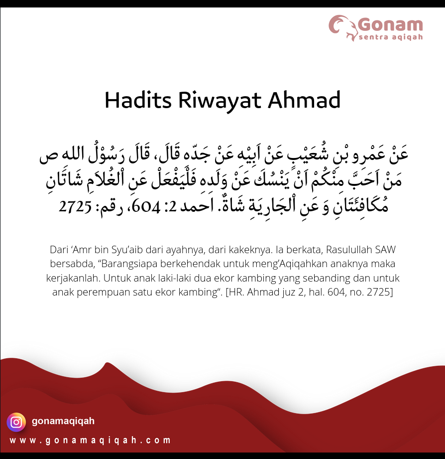 7 Dalil Hadits Tentang Aqiqah